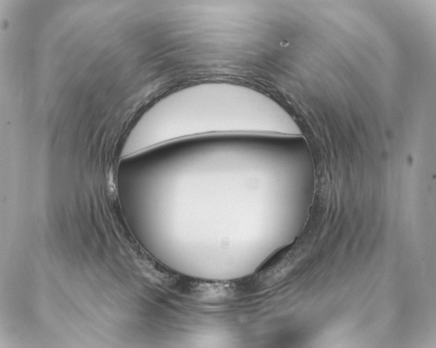 X0000087030089200704161411