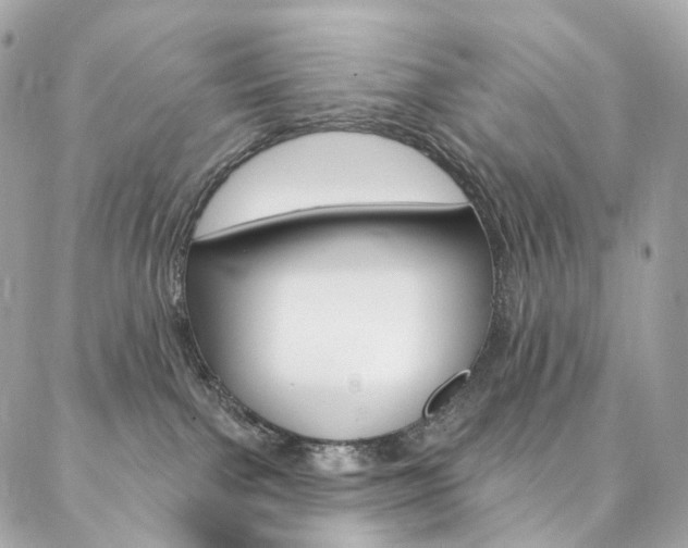 X0000087030091200704161411