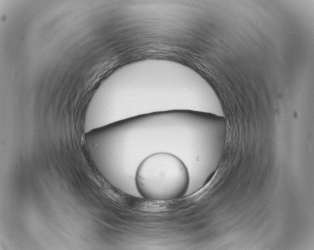X0000087030094200704161411