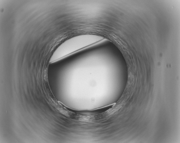 X0000087030096200704161411