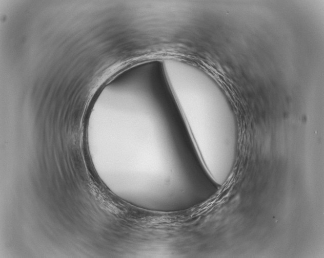 X0000087030100200704161411