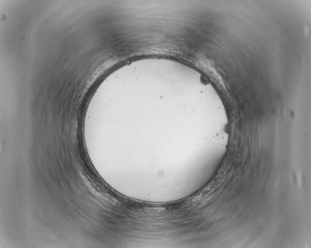 X0000087030108200704161410