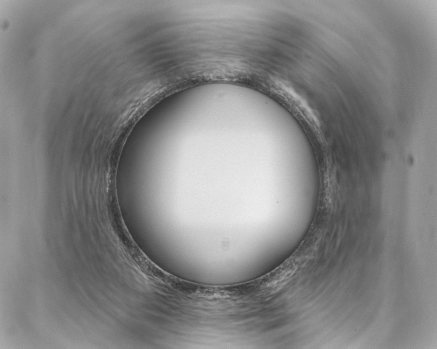 X0000087030113200704161410