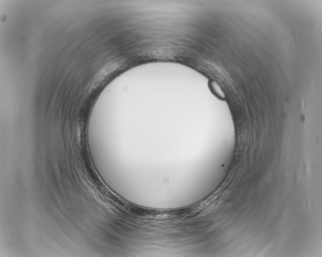 X0000087030120200704161410