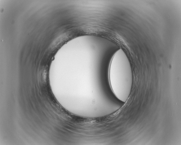 X0000087030124200704161410