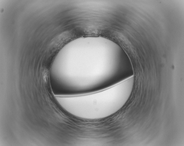 X0000087030125200704161410