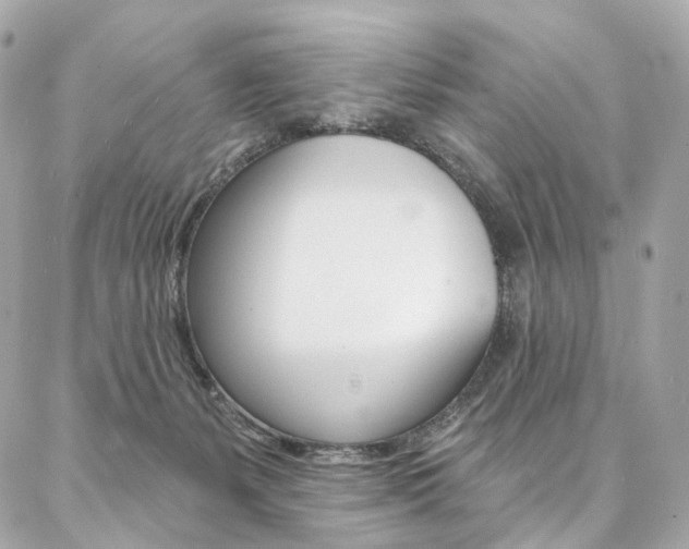 X0000087030127200704161410