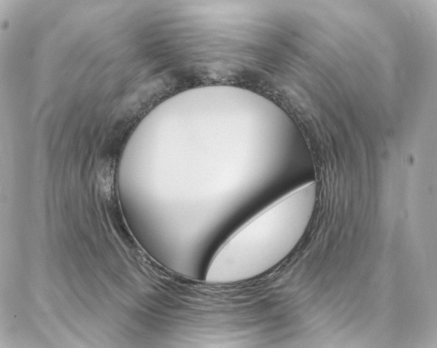 X0000087030129200704161410
