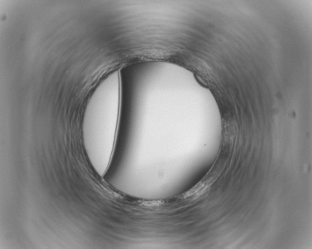 X0000087030143200704161410