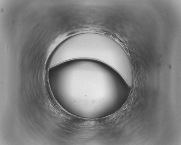 X0000087030152200704161409
