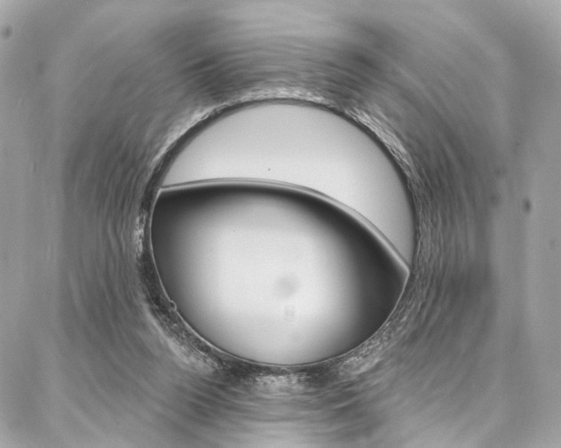 X0000087030160200704161409
