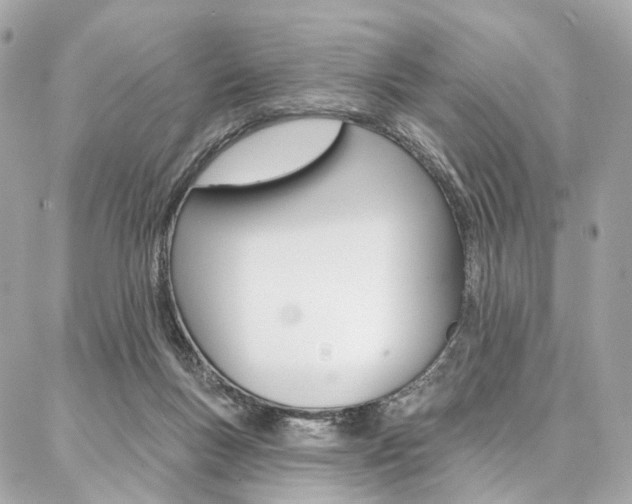 X0000087030167200704161409