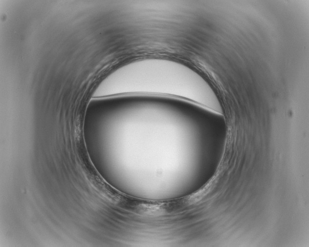 X0000087030170200704161409