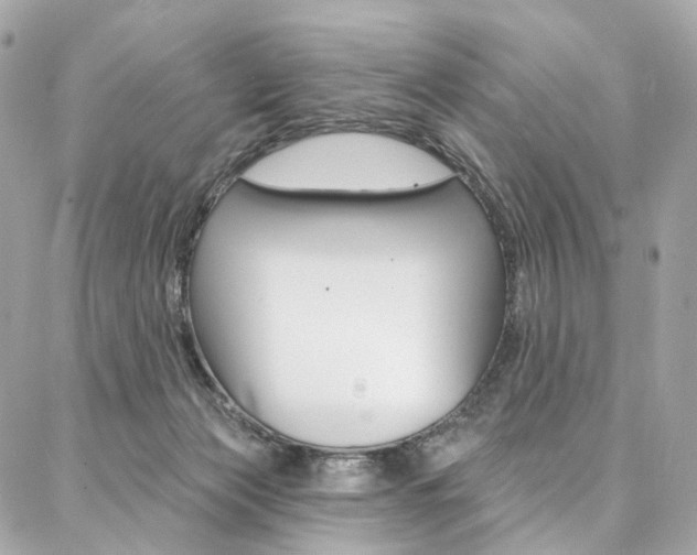 X0000087030173200704161410