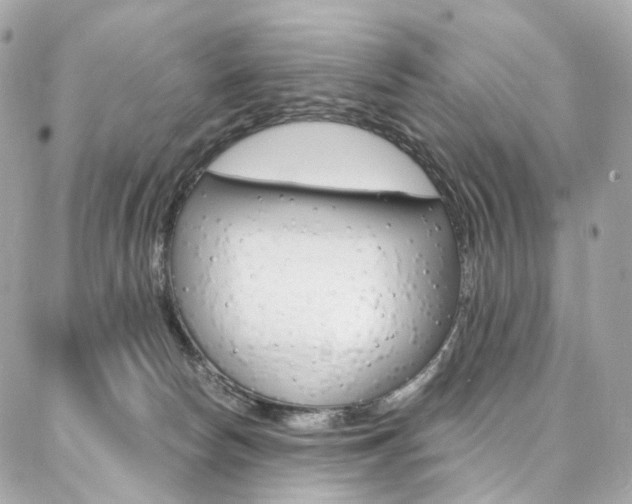 X0000087030178200704161410