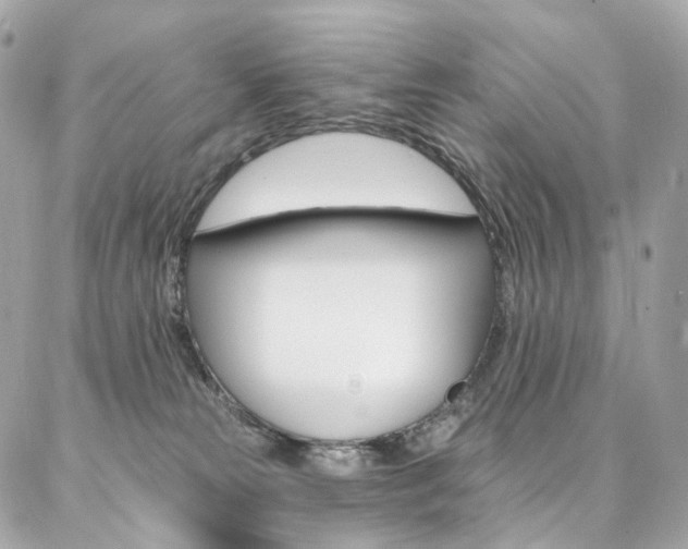 X0000087030181200704161410