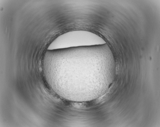 X0000087030187200704161410