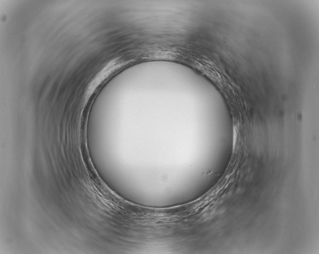 X0000087030195200704161409