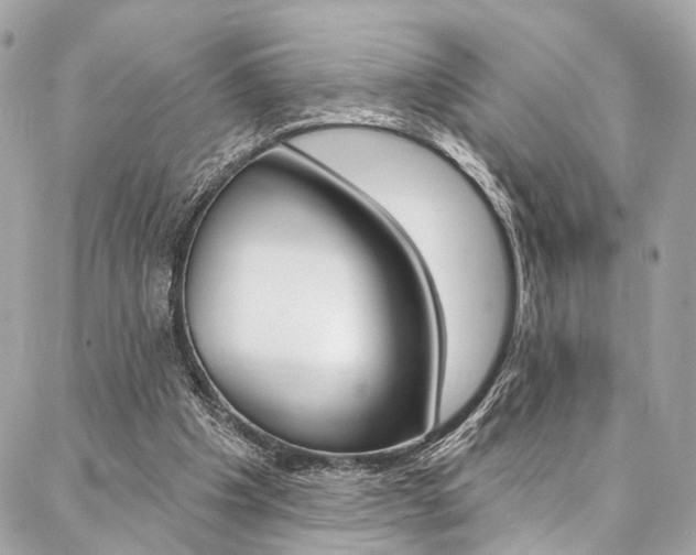 X0000087030201200704161409
