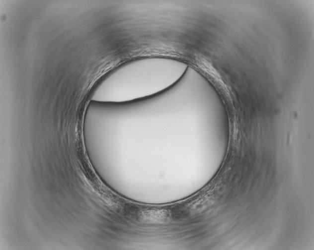 X0000087030202200704161409