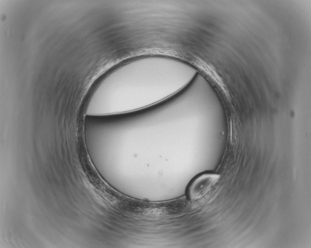 X0000087030204200704161409