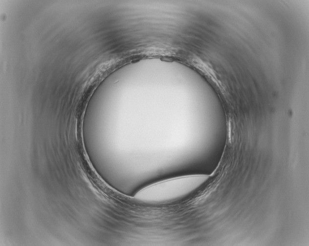 X0000087030205200704161409
