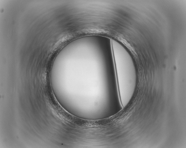 X0000087030207200704161409