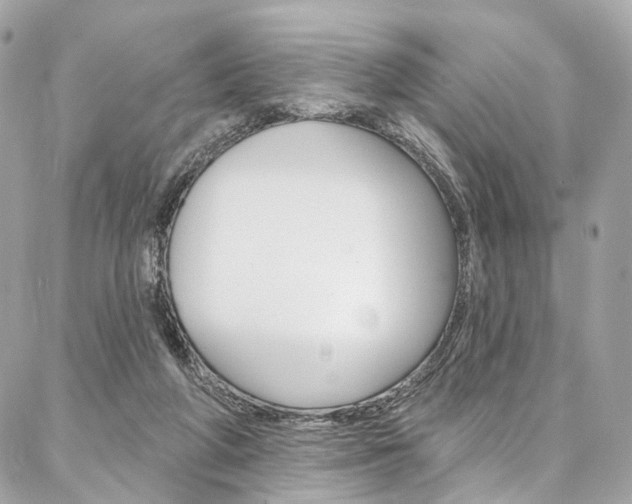 X0000087030210200704161409