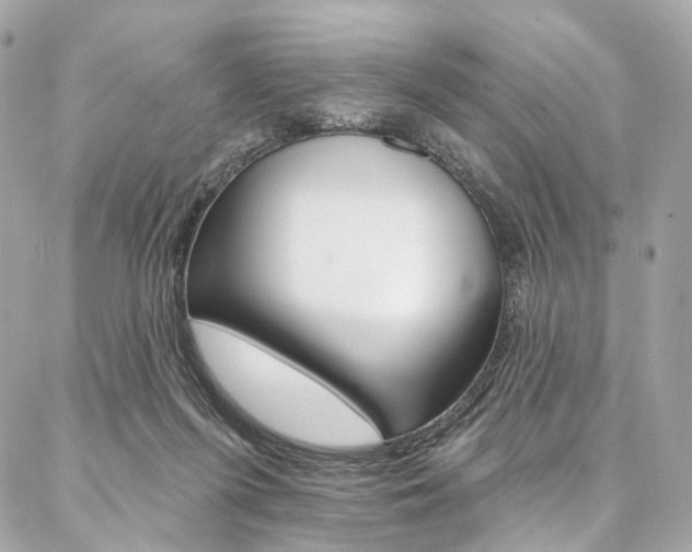 X0000087030215200704161409