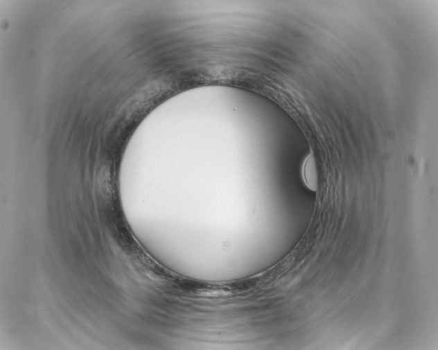 X0000087030220200704161409