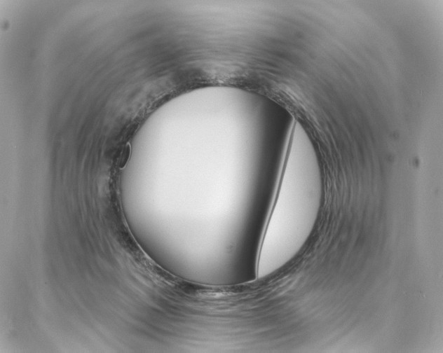 X0000087030221200704161409