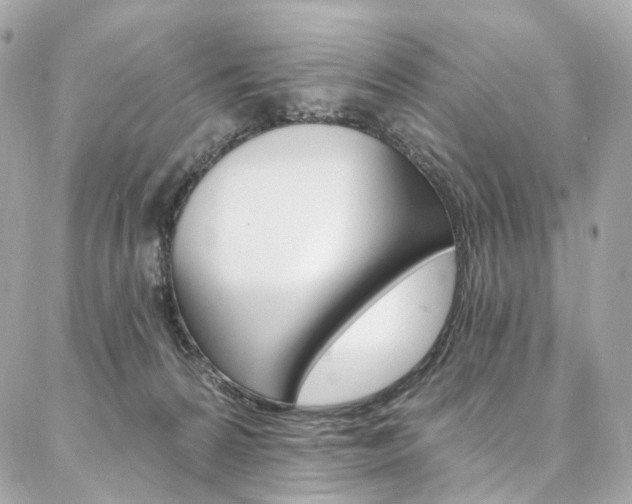 X0000087030224200704161409