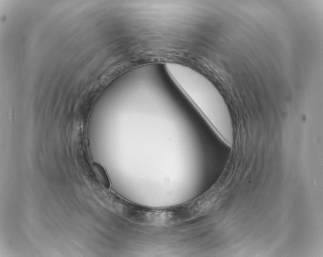 X0000087030225200704161409