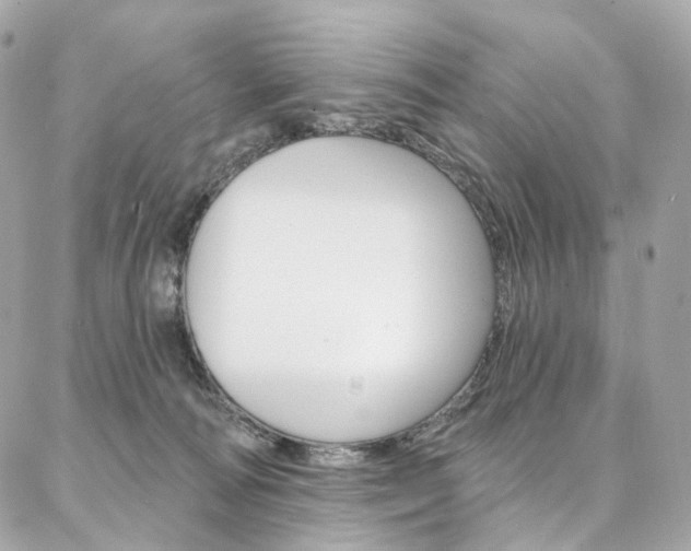 X0000087030226200704161409