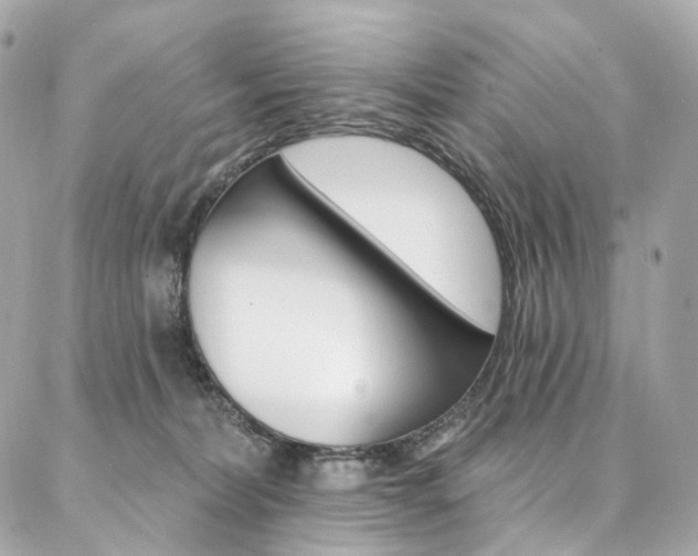 X0000087030228200704161408