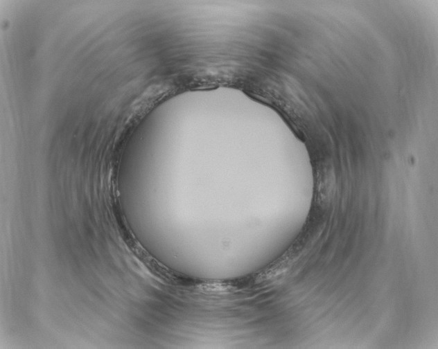 X0000087030231200704161408