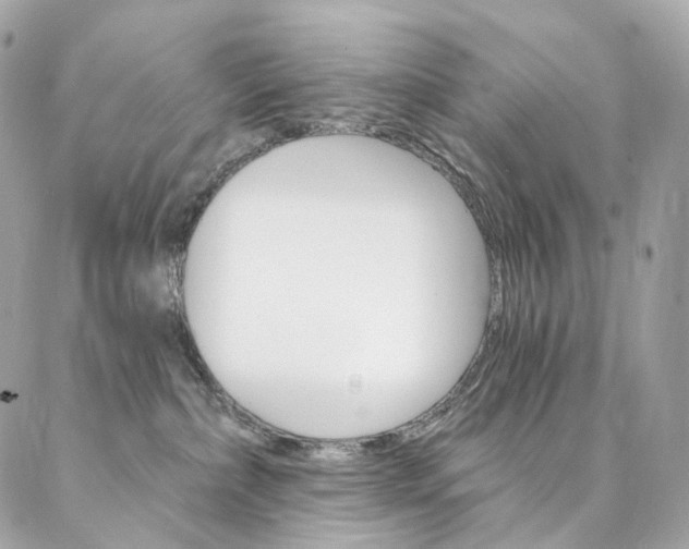 X0000087030236200704161408
