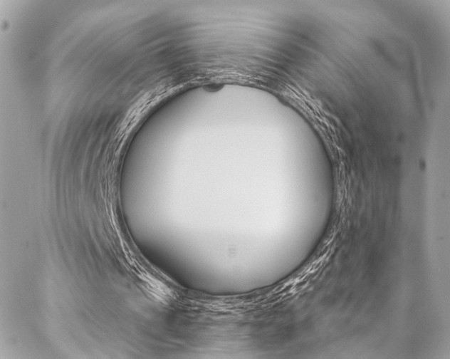 X0000087030241200704161408