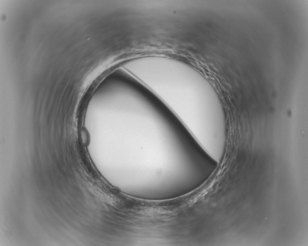 X0000087030246200704161408