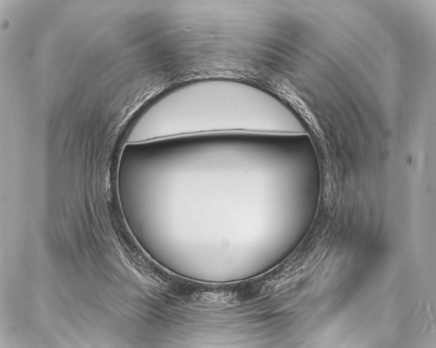 X0000087030251200704161408