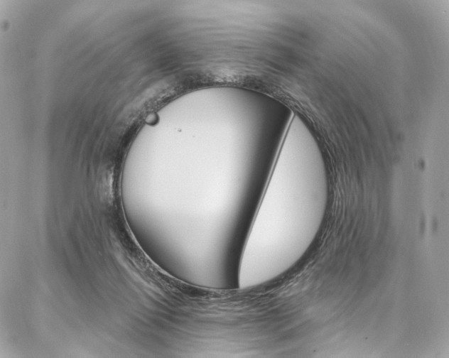 X0000087030262200704161408