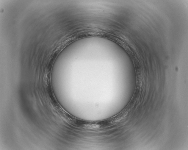 X0000087030266200704161408