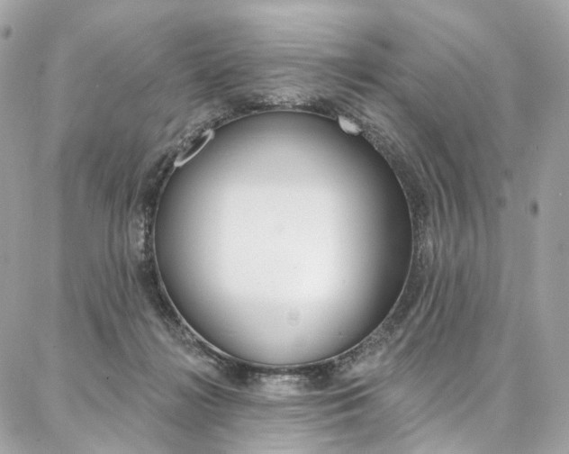 X0000087030268200704161408