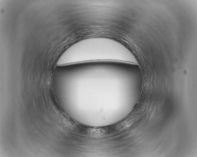 X0000087030277200704161408