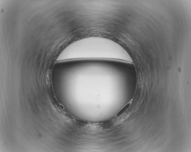 X0000087030280200704161408