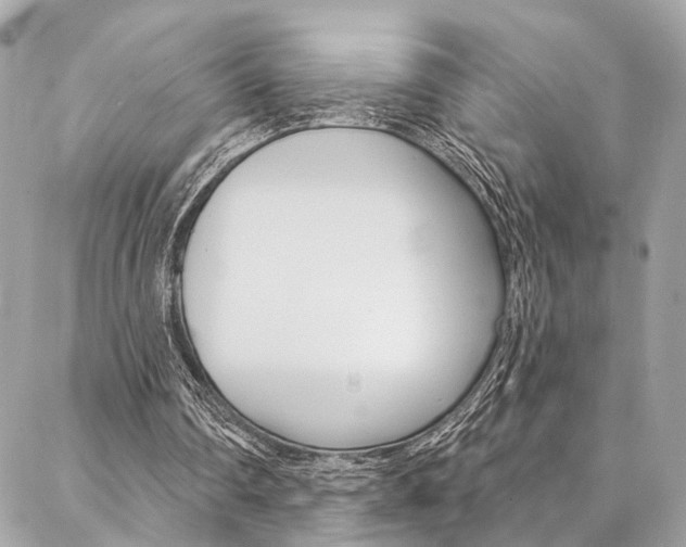 X0000087030290200704161407