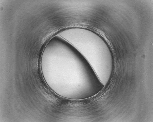 X0000087030299200704161407