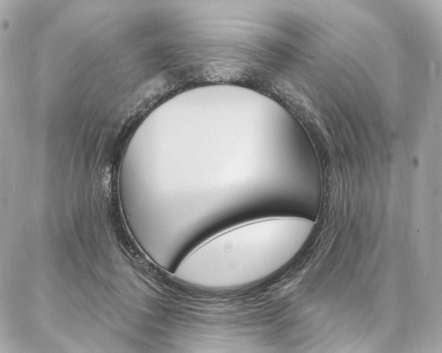 X0000087030308200704161407