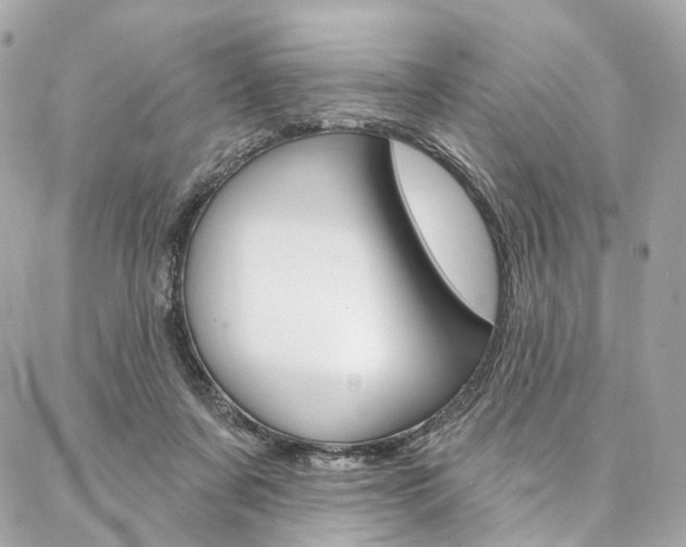 X0000087030311200704161407