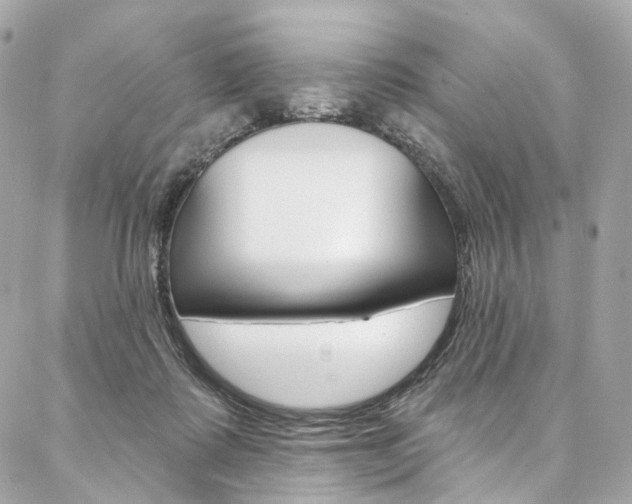 X0000087030315200704161407